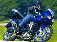 Der Bengalische Tiger mit 150PS!